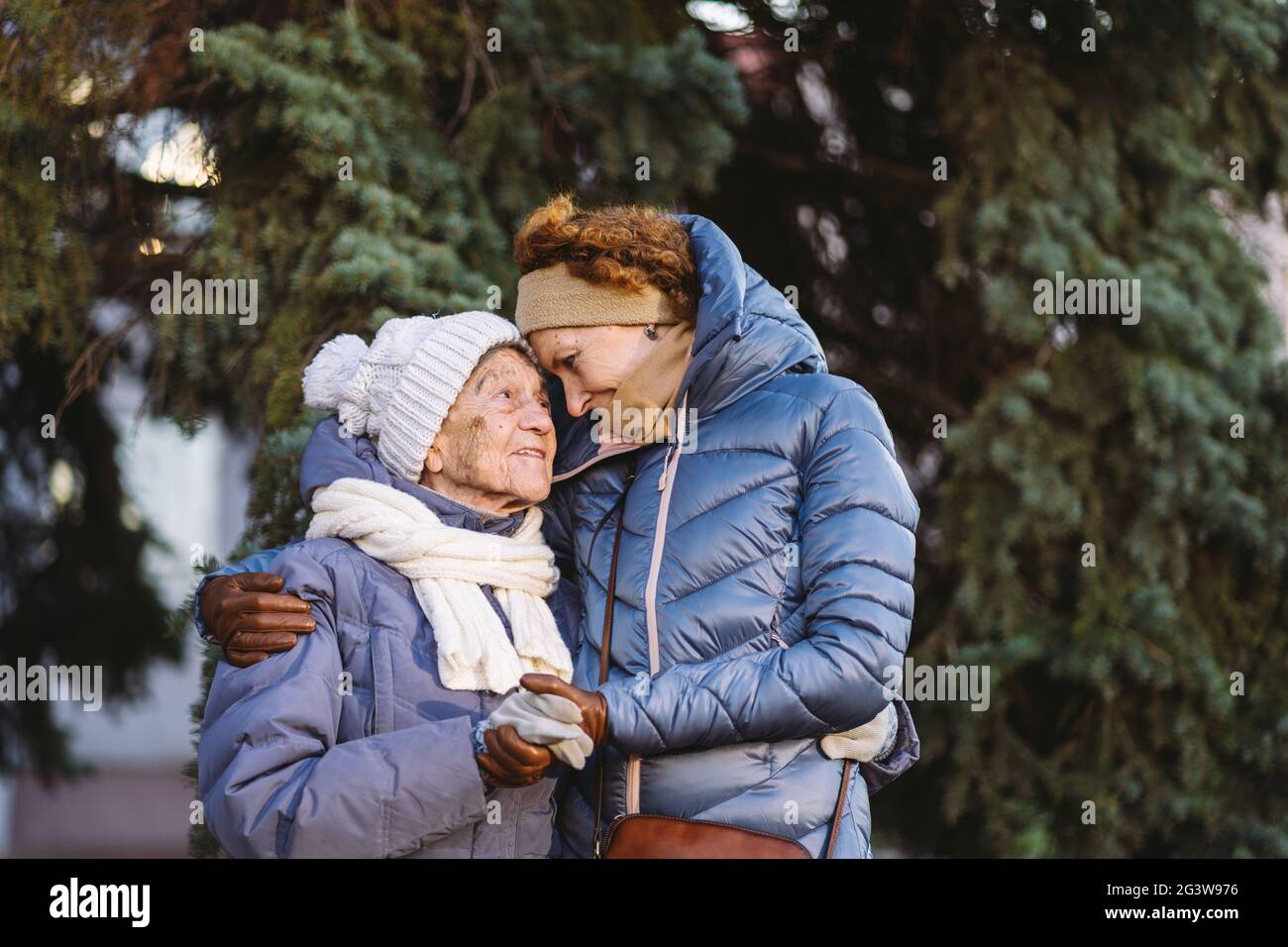 Kaukasische Frauen ältere Mutter und reife Tochter im Wintergarten auf Hintergrund Tannenbaum umarmt sich von Angesicht zu Angesicht, lächeln, sp Stockfoto