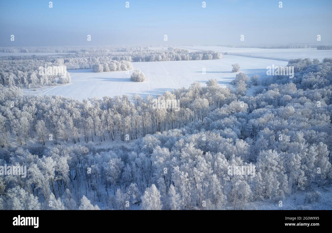 Luftaufnahme des Birkenwaldes in der Wintersaison. Drohnenaufnahme von Bäumen, die mit Reif und Schnee bedeckt sind. Stockfoto