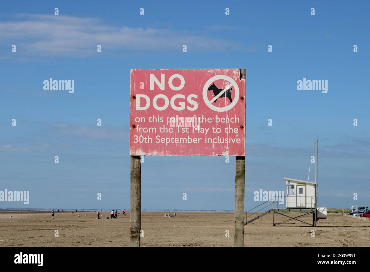 Keine Hunde am Strand erlaubt, hundefreundliches Urlaubskonzept mit Kopierplatz Stockfoto