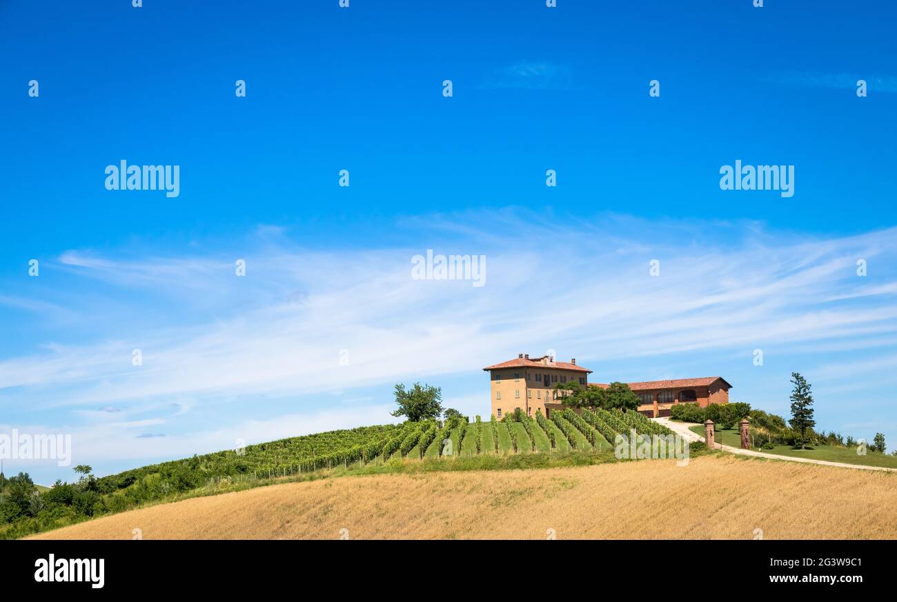 Piemont Hügel in Italien mit landschaftlich reizvoller Landschaft, Weinbergfeld und blauem Himmel Stockfoto