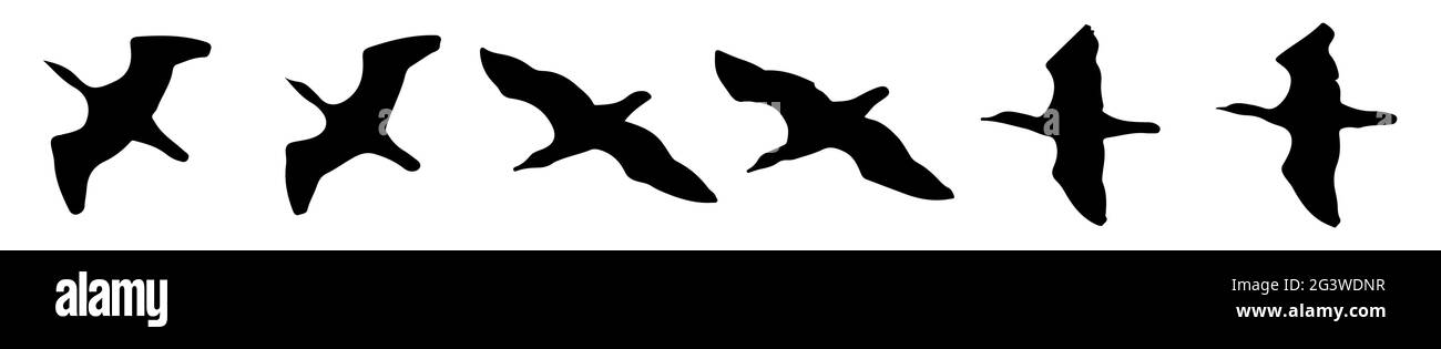 Set von Vögeln Kontur Silhouetten zum Zeichnen fliegender Formen auf Ihrer Collage, verschiedene Winkel. EPS10-Vektorgrafik isoliert auf weißem Hintergrund. Stock Vektor