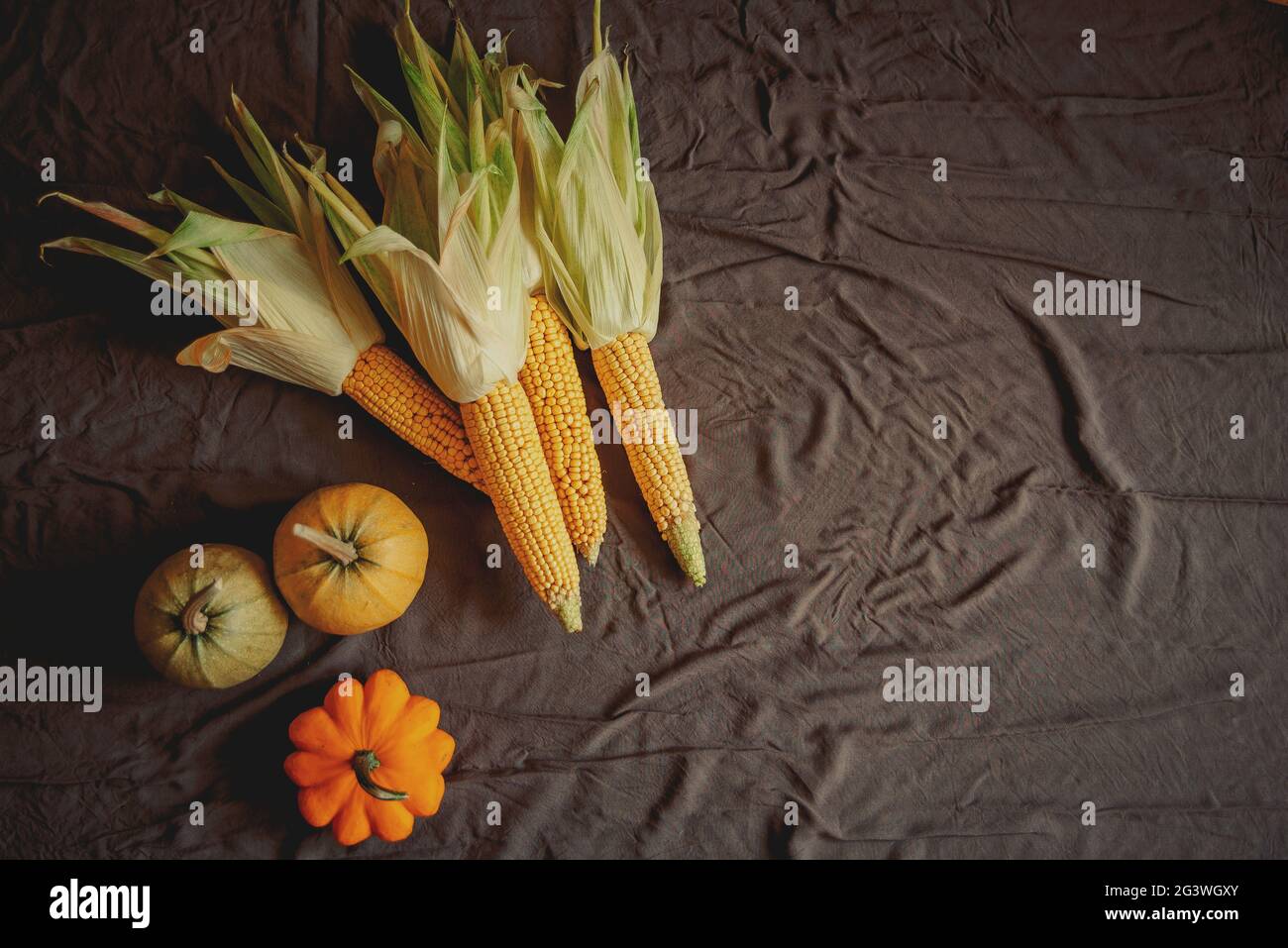 Kuschelige gelbe Kürbisse, Maiskolben und Squash im Herbst auf Dark Stockfoto