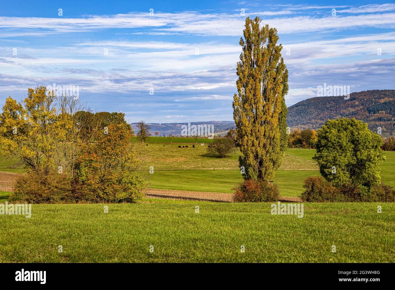 Herbstlandschaft am Fuße des Fränkischen Waldes Stockfoto