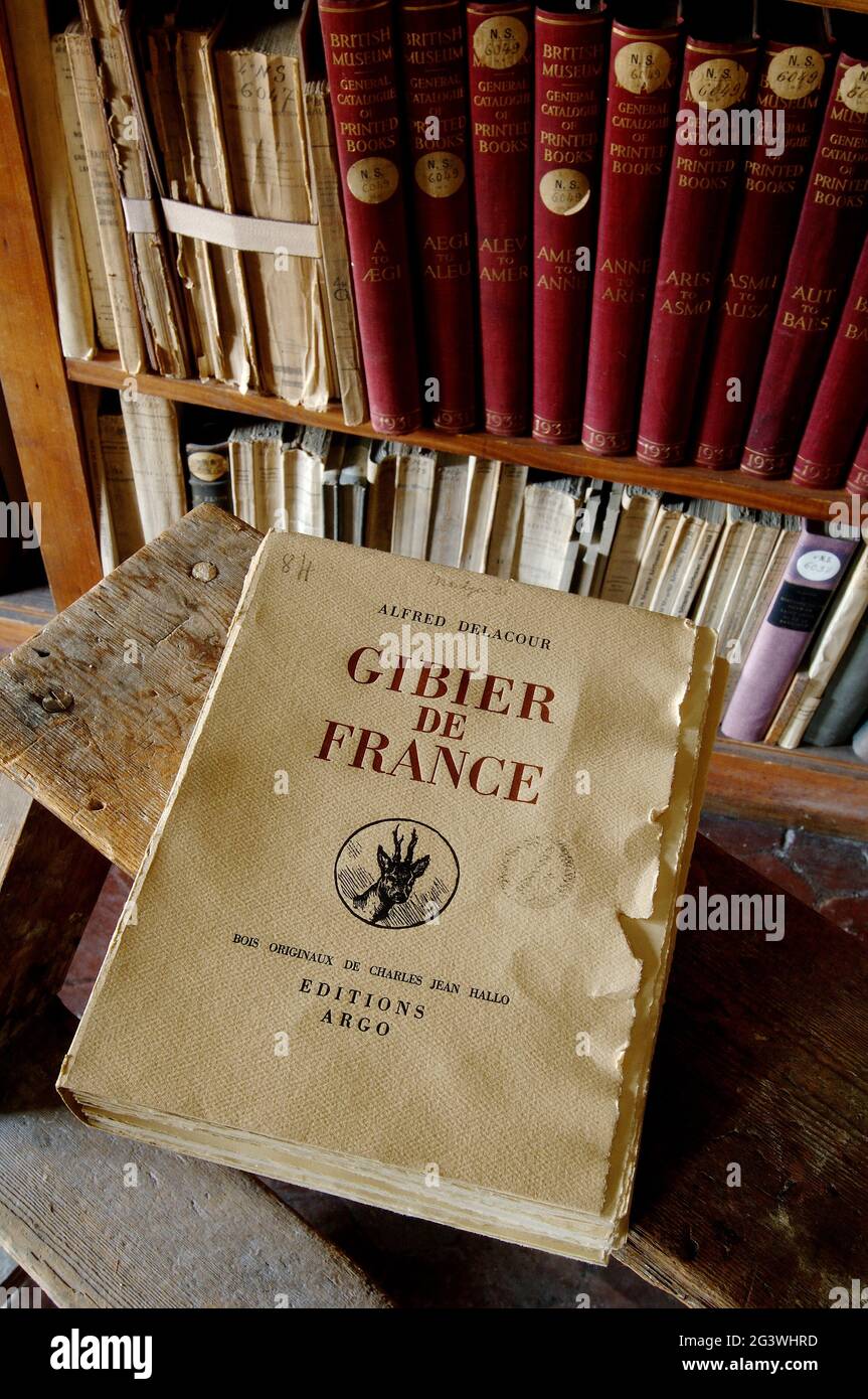 FRANKREICH. PARIS (75) 6. ARR. INSTITUT FÜR FRANKREICH. DER SITZ DER AKADEMIKER. DIE MAZARINE BIBLIOTHEK Stockfoto