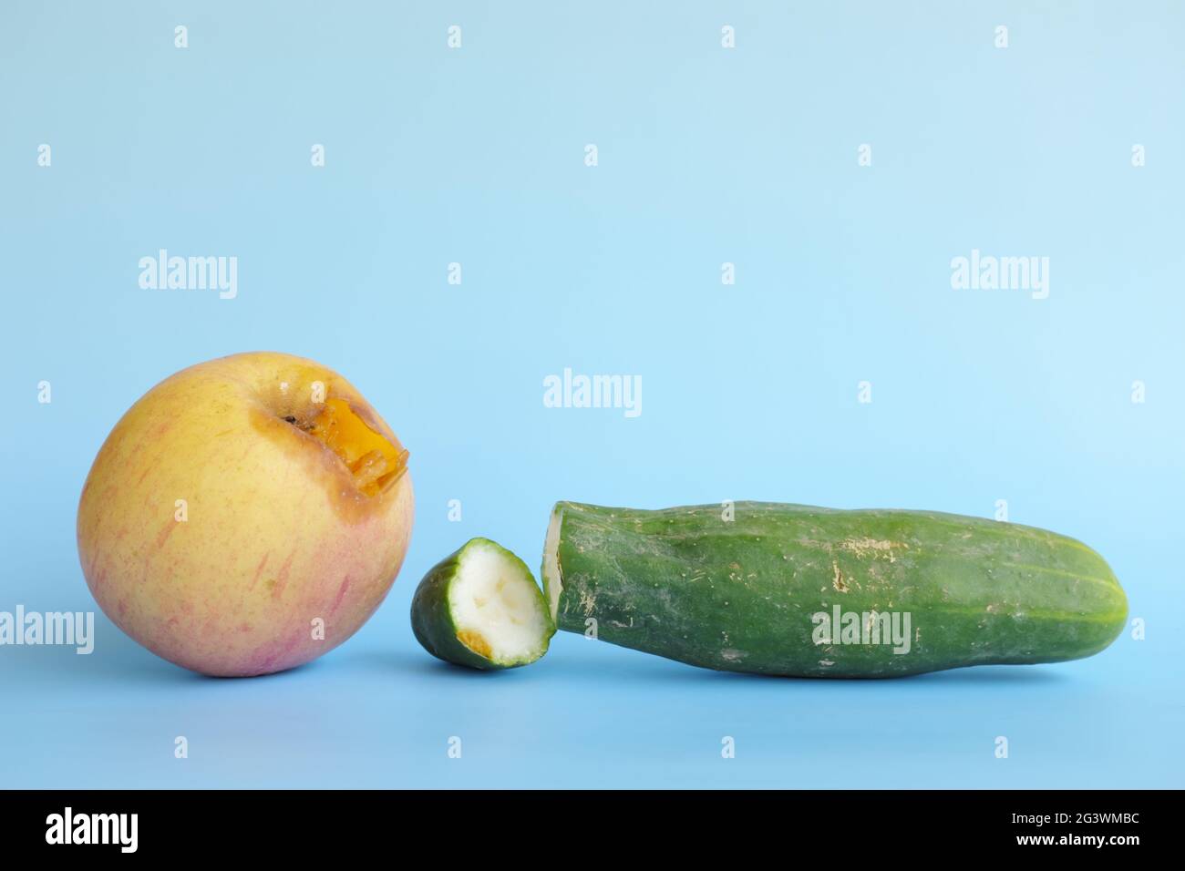 Fauler, gequetschter, abgestandener oder schlechter Apfel und Gurke auf blauem Hintergrund isoliert. Lebensmittelabfälle und schlechtes Qualitätskonzept für landwirtschaftliche Nutzpflanzen. Stockfoto