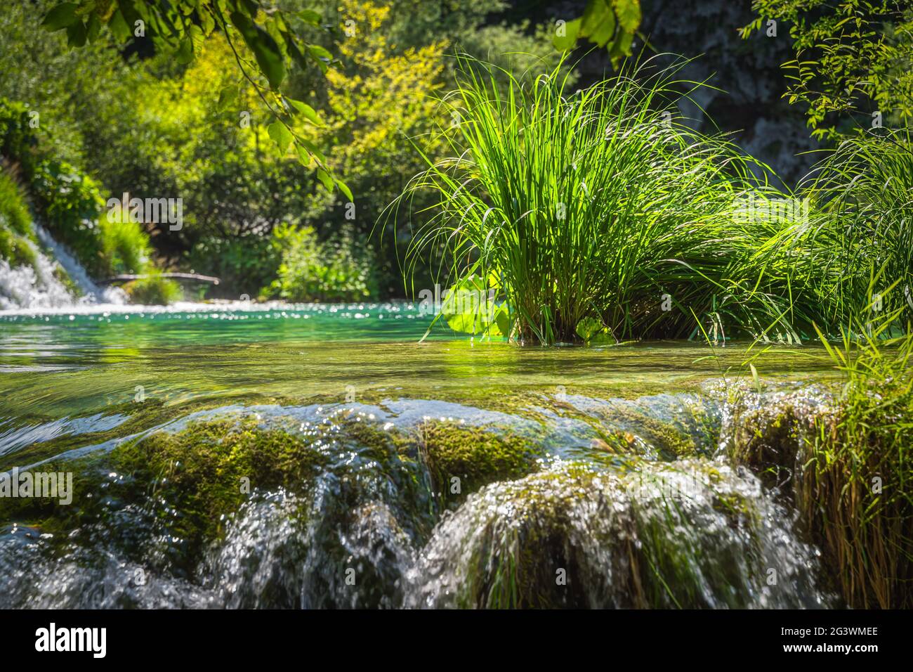 Langes Gras, umgeben von Wasserfall und Wasserfällen in den Plitvicer Seen Stockfoto