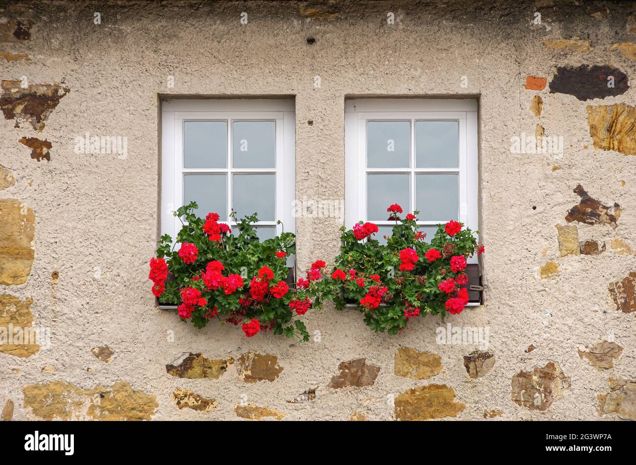 Symbolisches Bild: Zwei Fenster mit Pflanzgefäßen voller roter Blumen. Stockfoto