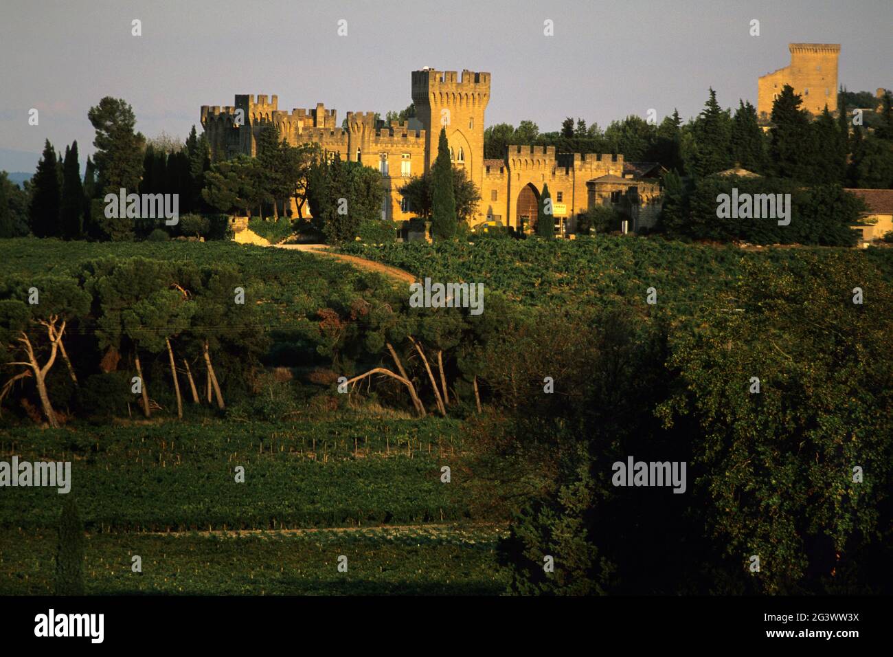 FRANKREICH. VAUCLUSE (84) REGION PROVENCE. CHATEAU-NEUF-DU-PAPE. DAS SCHLOSS DER GELDSTRAFEN ROCHES UND WEINGÄRTEN Stockfoto