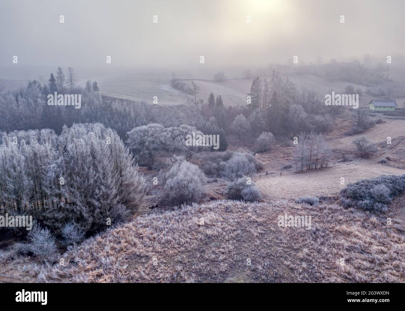 Winter neblige und neblige Sonnenaufgangslandschaft Stockfoto