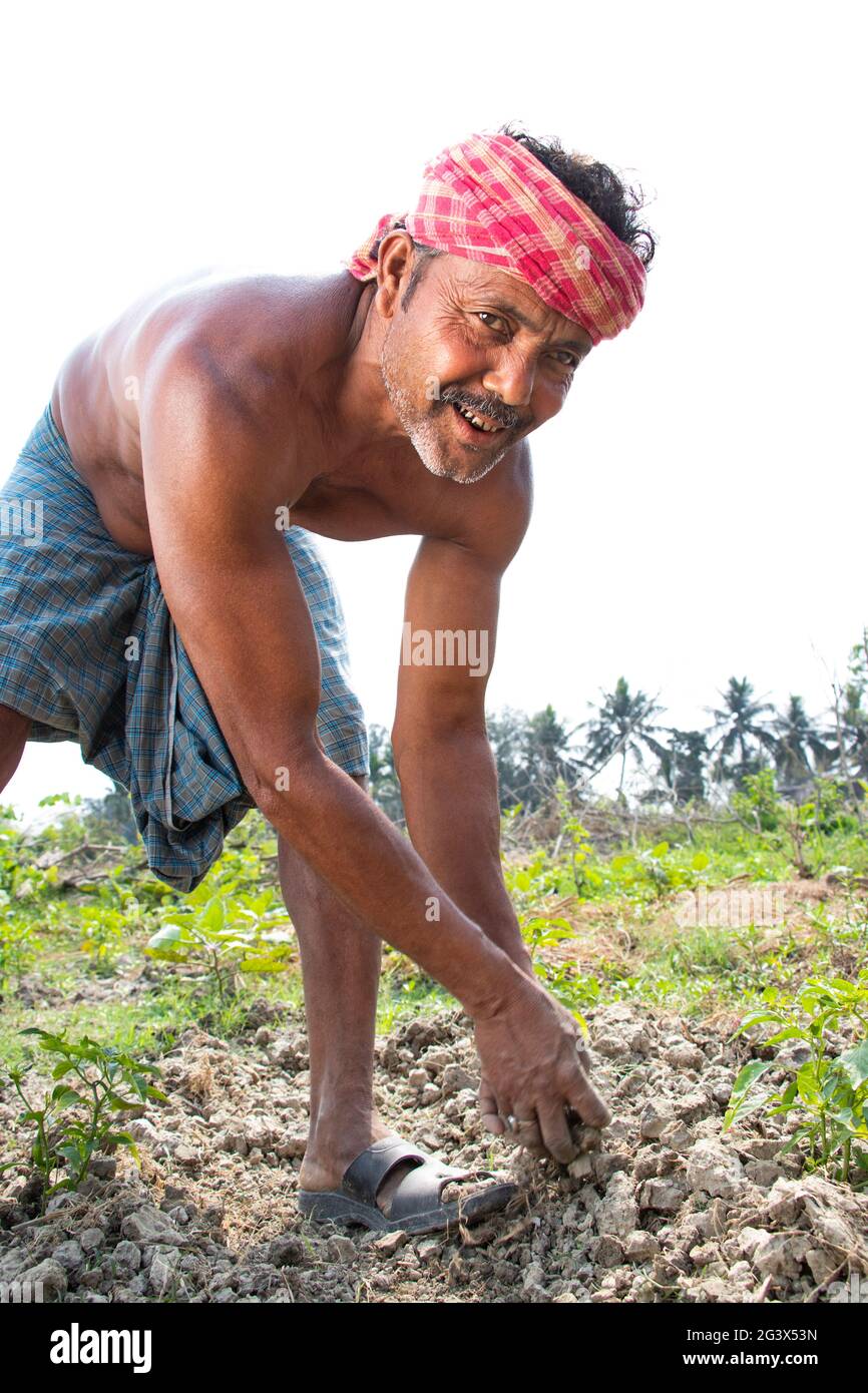 Ein Indischer Bauer Der Auf Seinem Feld Arbeitet Indien Stockfotografie Alamy