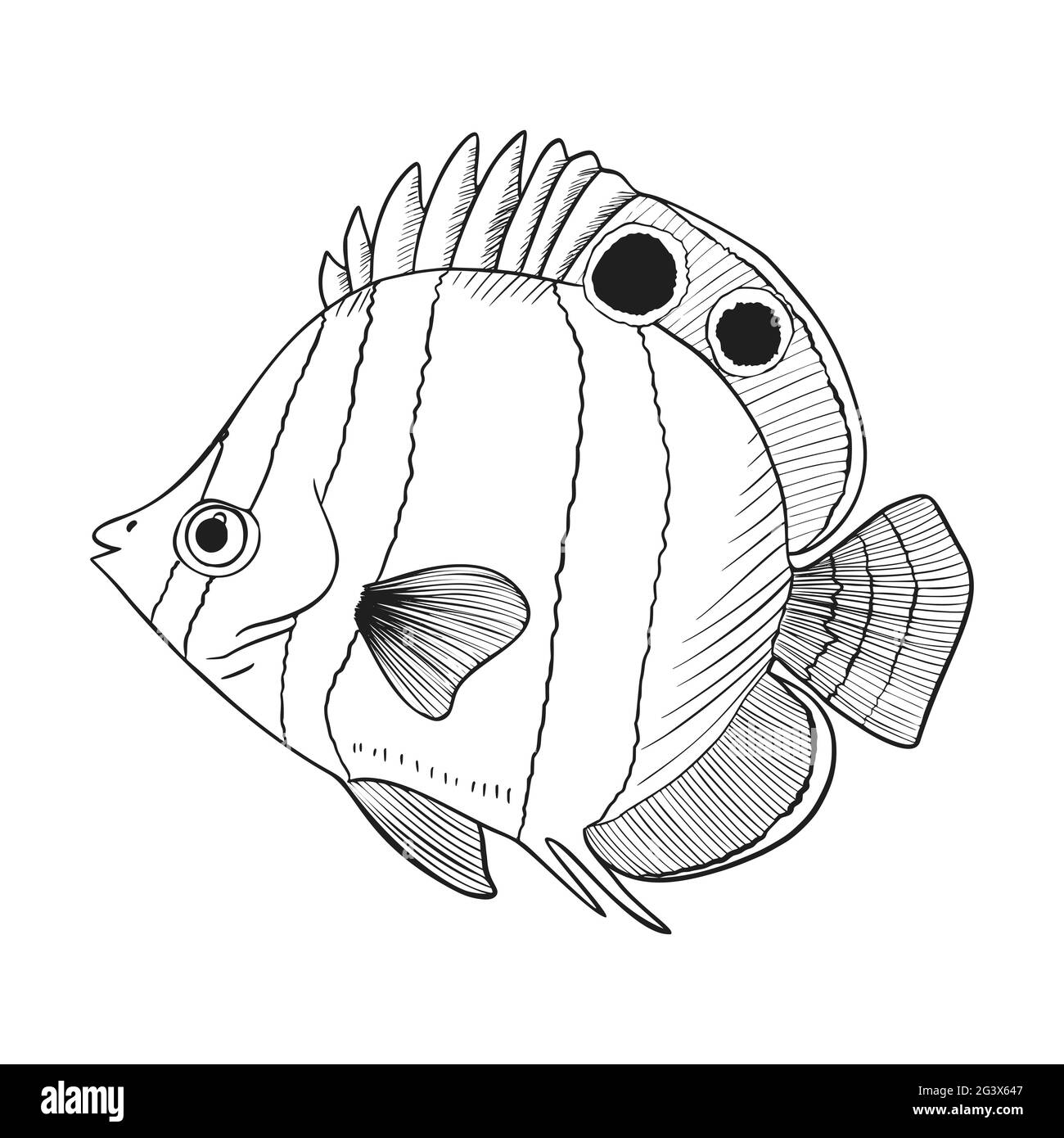 Skizze Für Rifffische Vektorgrafik. Handgezeichnetes Unterwasser-Tierset. Realistische Naturelemente für Fischgeschäft, Meeresfrüchte-Design. Vektor illustrr Stock Vektor
