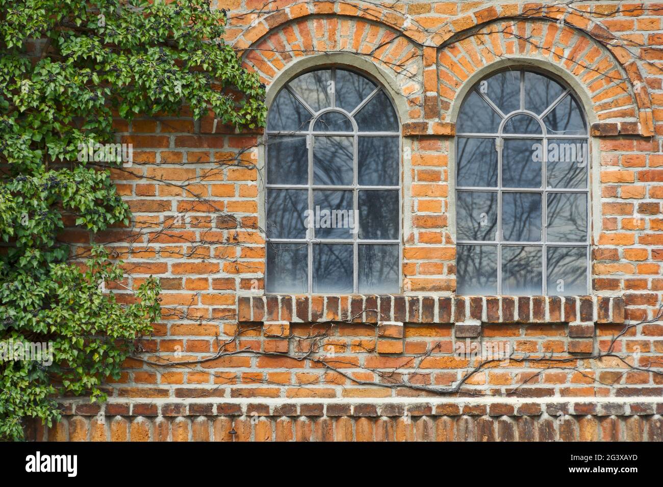 Alte Klinkerhausfassade mit Überwucherung Stockfoto