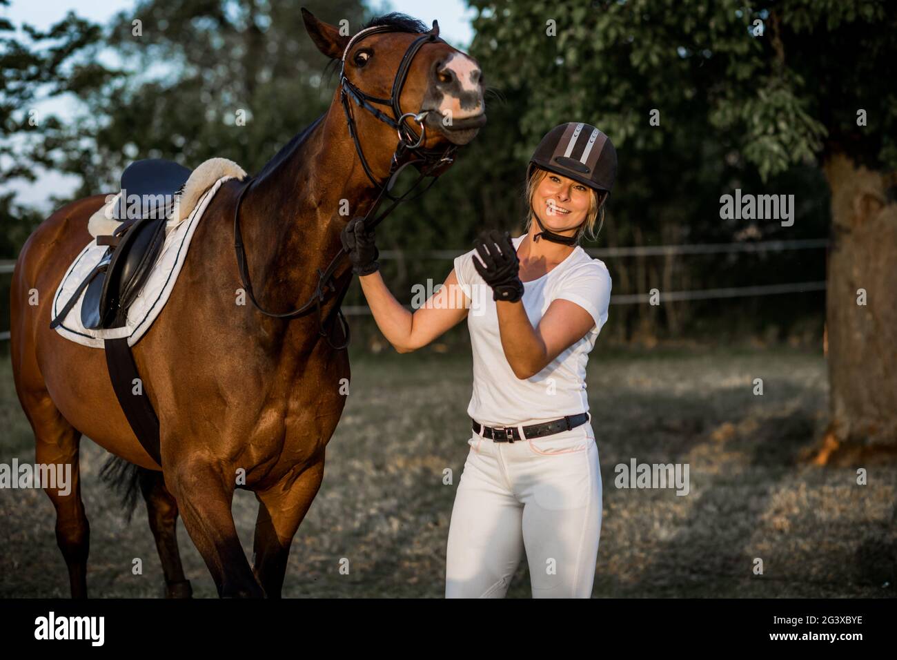 Lächelnde junge Frau und ein kokett Pferd Pose Blick auf die Kamera. Glücklich zusammen. Konzept von Glück und Lebensfreude. Vorbild. Aktive Erholung Stockfoto