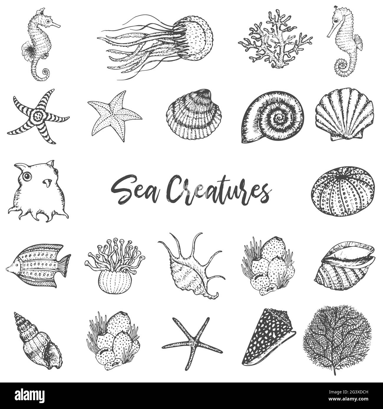 Meerestiere und Meerestiere Handgezeichnete Skizzen Set. Korallen, Seepferd, Muscheln, Seesterne, Oktopus, Fische umreißen Vektorzeichnung. Stock Vektor