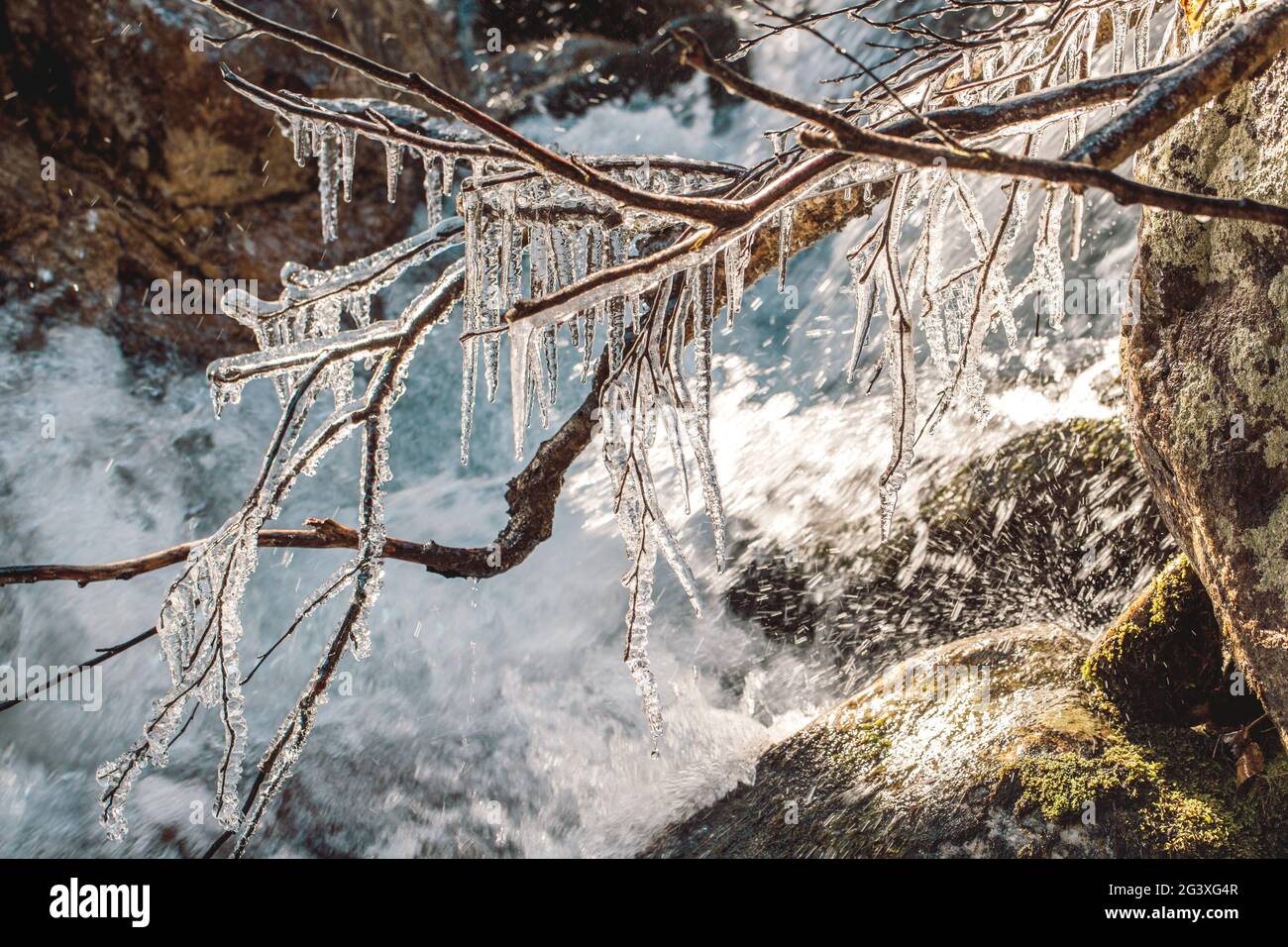 Eiszapfen auf den nassen Ästen des Flusses im Spätherbst in den Bergen. Am frühen Morgen im Spätherbst in den Bergen. Mo. pur Stockfoto