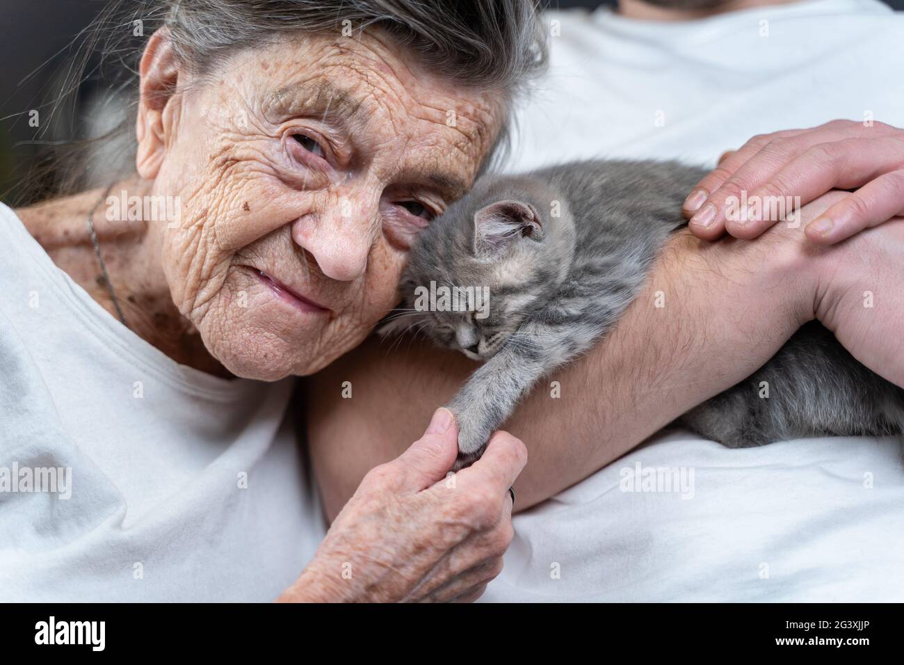 Glückliche ältere Frau kuscheln und küssen, kuscheln sich an kleine niedliche graue Kätzchen, die in den Armen gehalten von seinem Enkel während des Besuchs Stockfoto