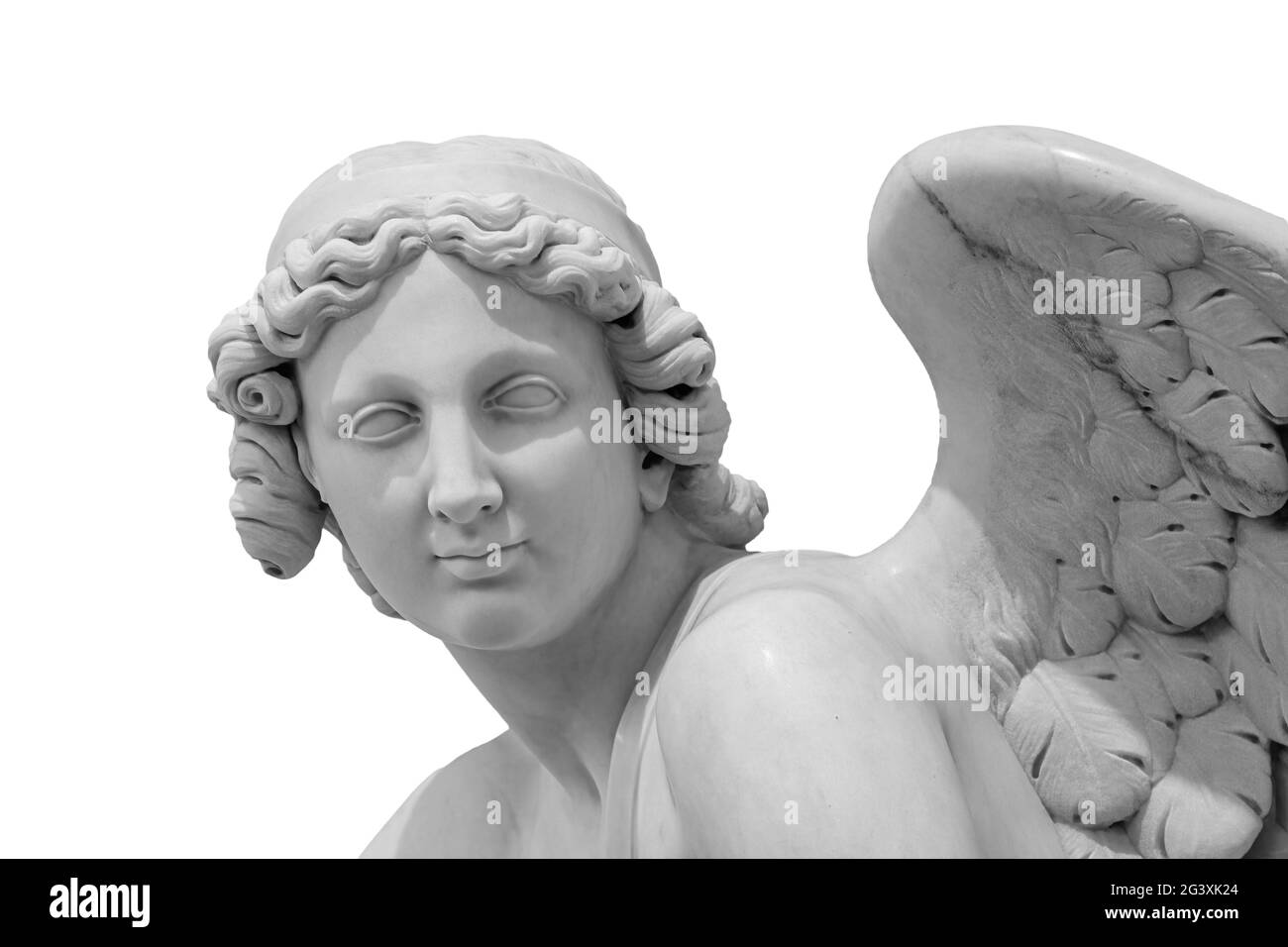 Engelsflügel isoliert auf weißem Hintergrund mit Copyspace. Statue des Cherub Flügel Nahaufnahme Stockfoto