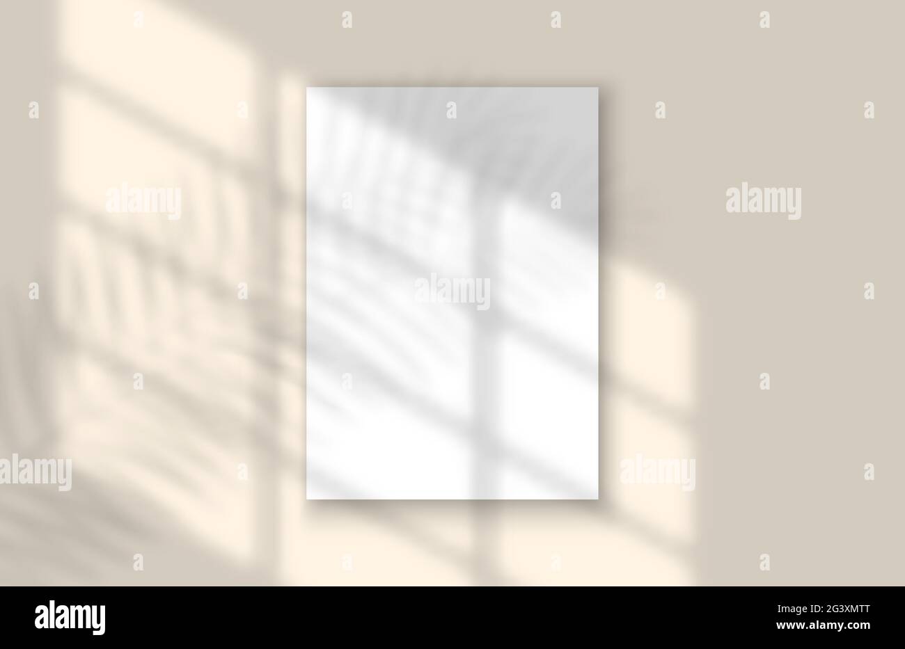 Vorlage für „Fenster und Blatt“-realistische Schatten-Mock-Up-Vorlage. Tropisches Blatt und Licht aus dem Fenster Overlay-Modell für Social Media, Banner und Werbung. Vecto Stock Vektor