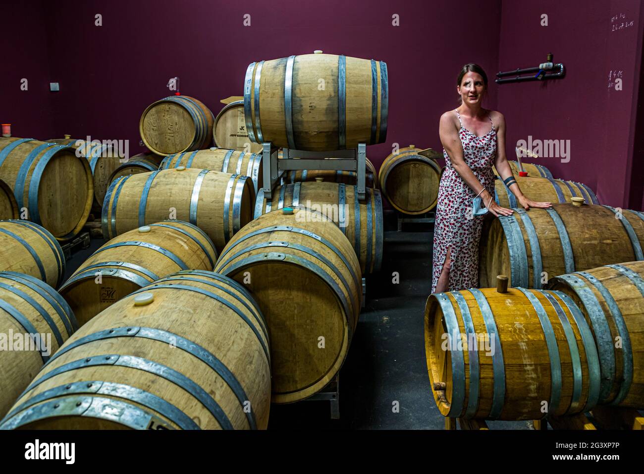 Fasslager im modernen Weingut von Jeff Konsbrück in Ahn, Luxemburg Stockfoto