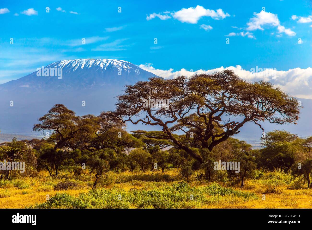 Der Schneegipfel des Kilimandscharo Stockfoto