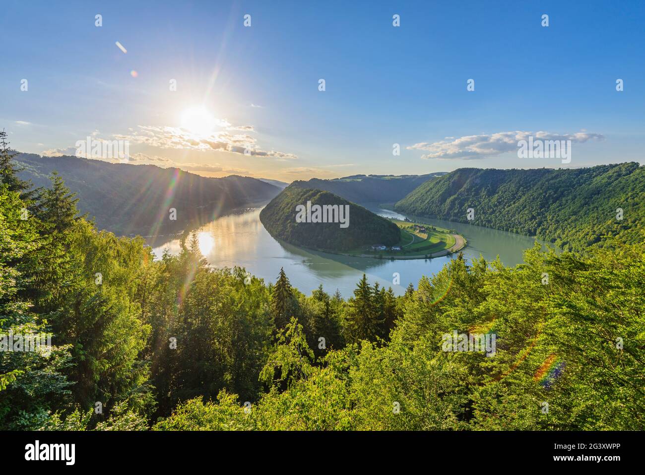 Schlögener Schlinge an der Donau in Oberösterreich, Österreich Stockfoto