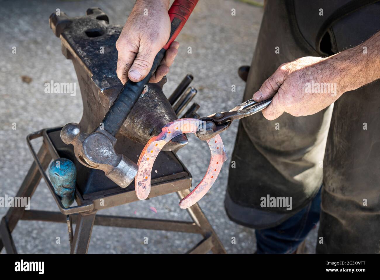 In Großbritannien arbeitet er am heißen Schuhschlagen eines Pferdes. Den beheizten Schuh auf einen Amboss hageln. Stockfoto