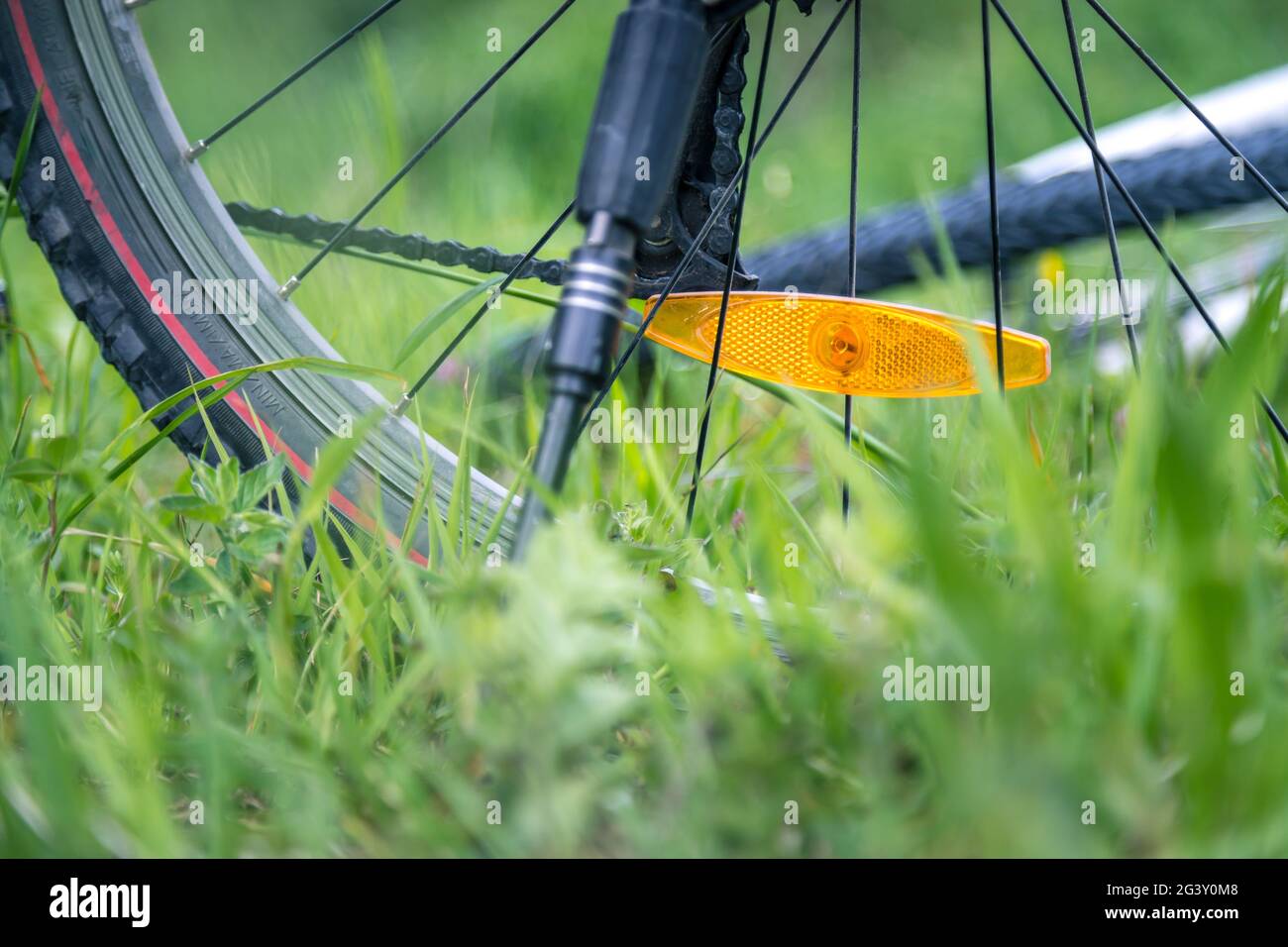 Mountainbike-Reifen auf der Wiese, Sommertag, Bike-Abenteuer Stockfoto
