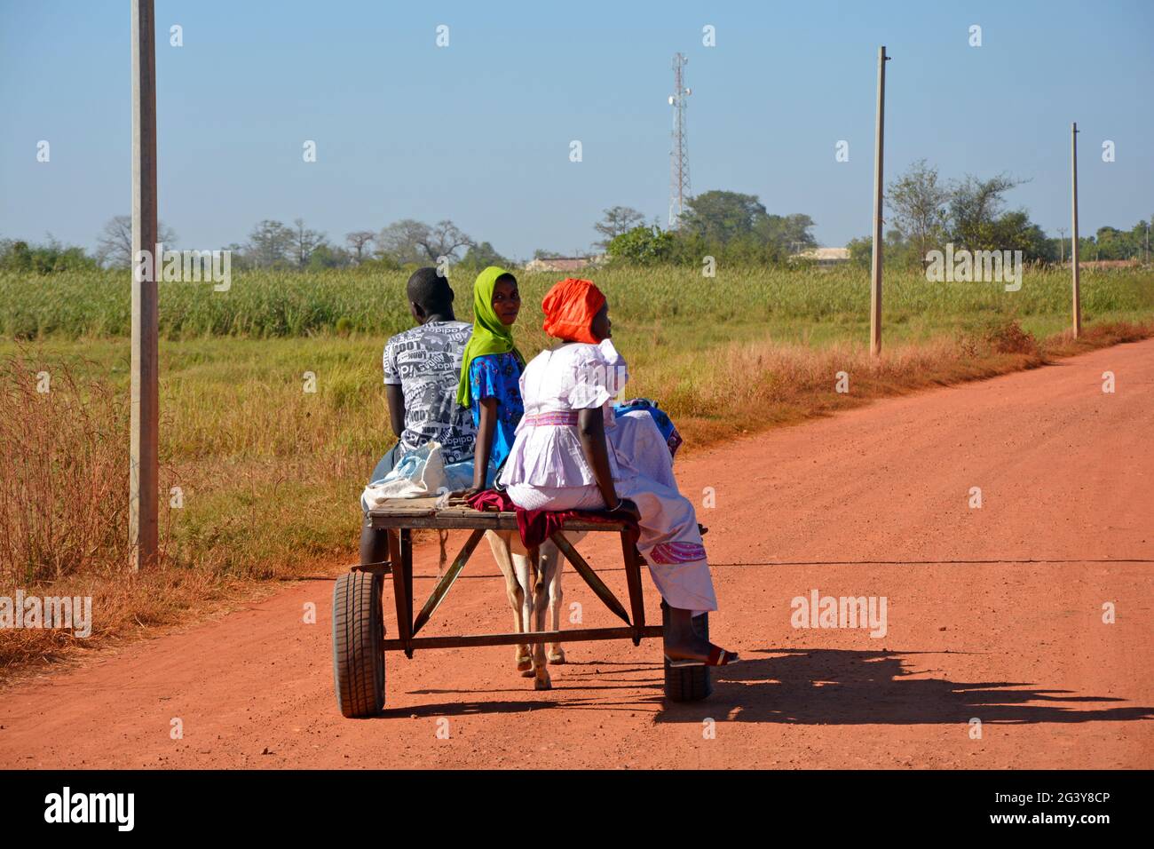 Gambia; Central River Region; Kuntaur; zwei Frauen mit Kopfbedeckung und ein Mann auf einem Eselskarren; auf dem Weg nach Kuntaur Stockfoto