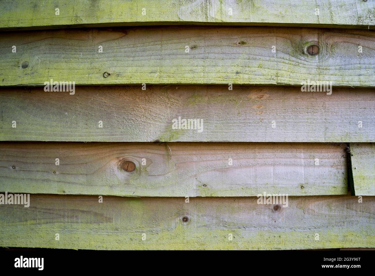 Gealtertes, federkantes Boarding Stockfoto