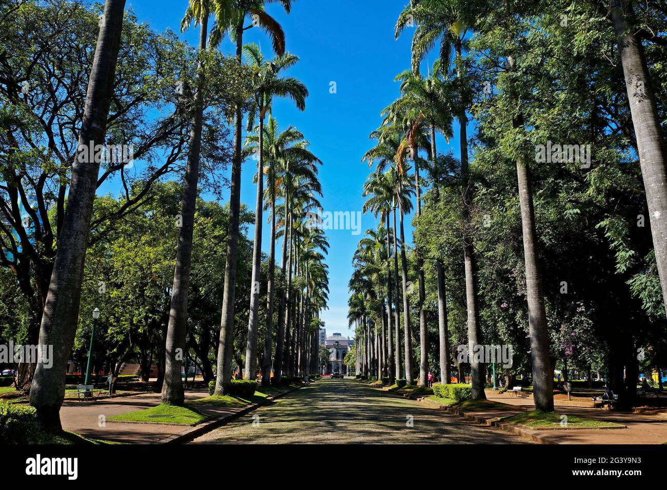 Öffentlicher Platz in Belo Horizonte, Minas Gerais, Brasilien Stockfoto