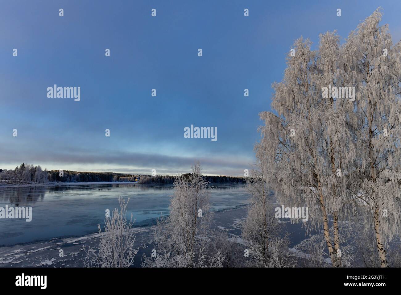 Wintereindruck mit einem eisigen See, Dorotea, Västerbottens län, Schweden Stockfoto