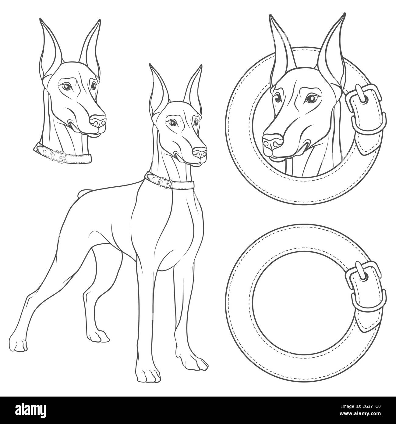 Serie von Illustrationen mit einem Dobermann im Kragen. Isolierte schwarz-weiße Vektorobjekte auf weißem Hintergrund. Stock Vektor