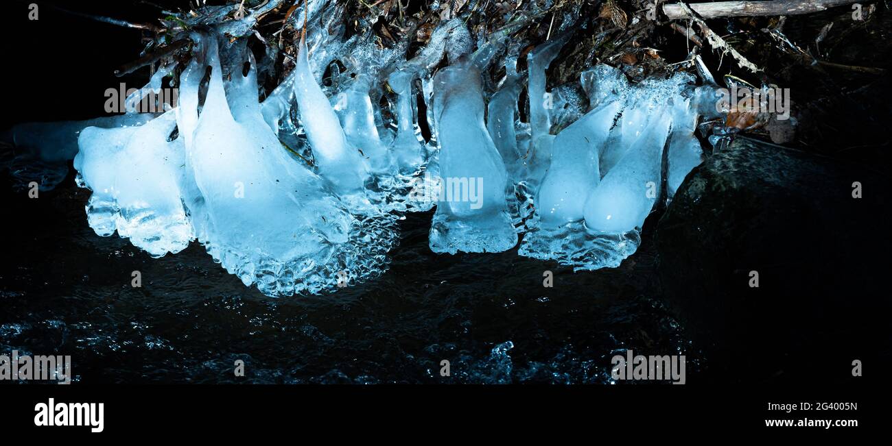 Eiskristalle an Wurzeln und Ästen in einem Bach im Westerwald Stockfoto