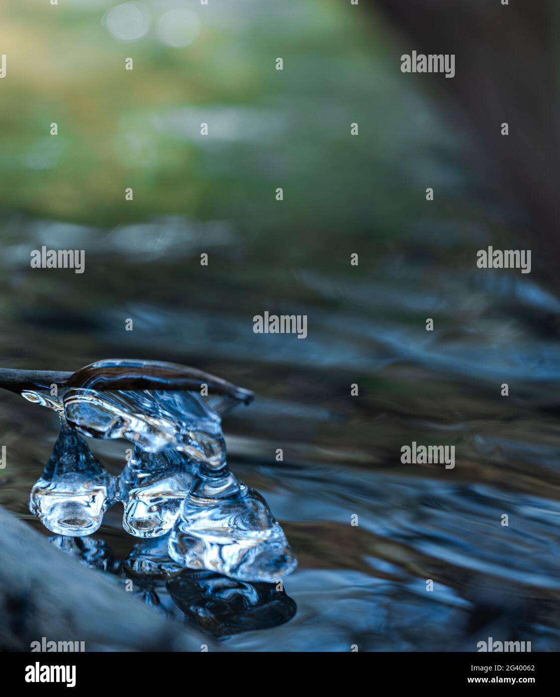 Eiskristalle an Wurzeln in einem Bach im Westerwald Stockfoto