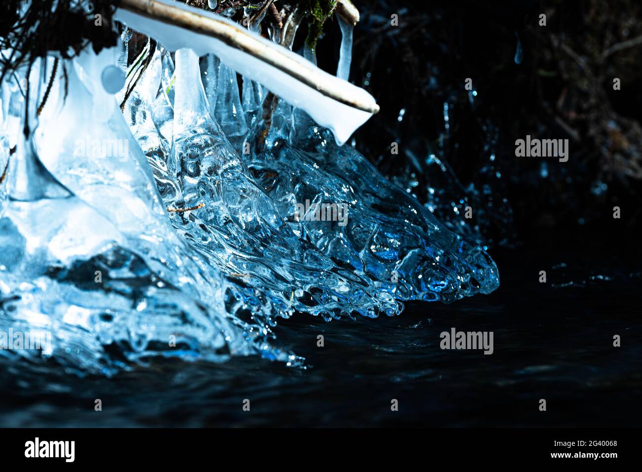 Eiskristalle an Wurzeln und Ästen in einem Bach im Westerwald Stockfoto