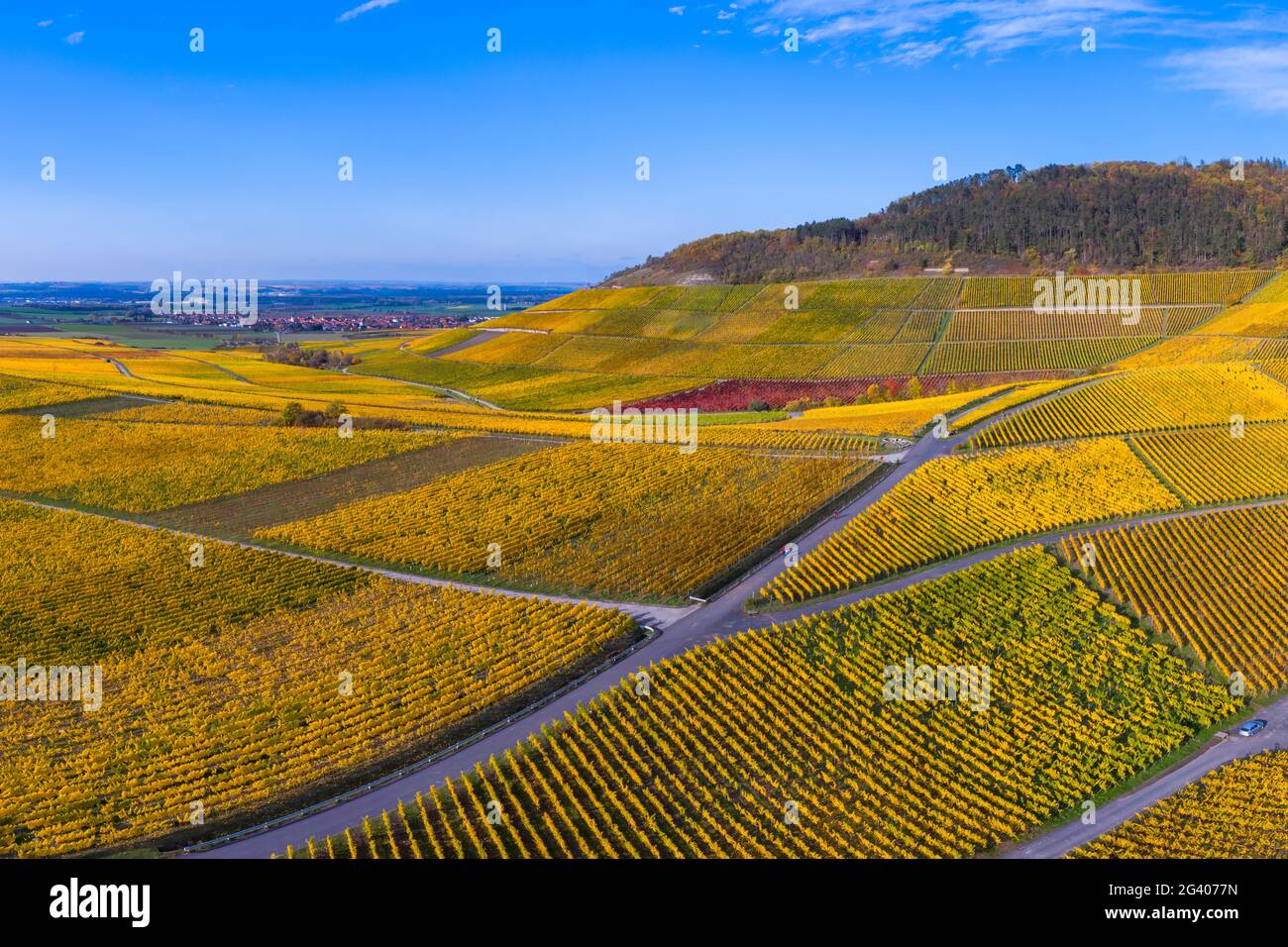 Das Weingut Julius Echter Berg in Iphofen, Kitzingen, Unterfranken, Franken, Bayern, Deutschland, Europa Stockfoto