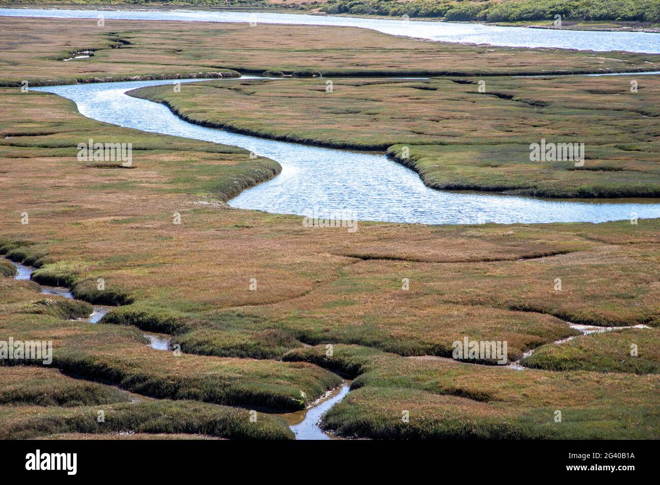 Drakes Estero ist eine ausgedehnte Mündung in der Point Reyes National Seashore von Marin County an der Pazifikküste von Nordkalifornien im Vereinigten Süden Stockfoto