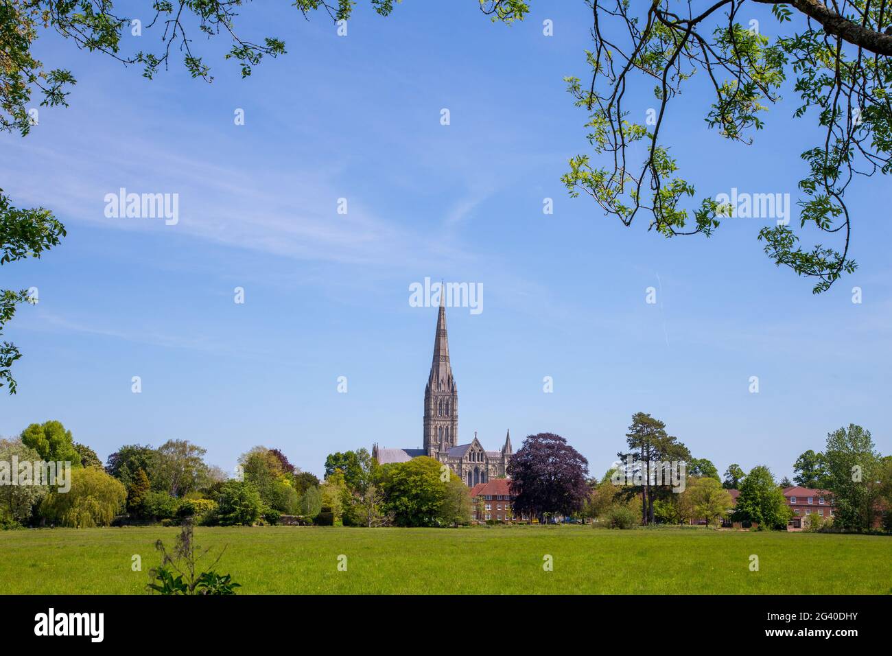 Salisbury Cathedral von der anderen Seite der Wasserwiesen, Wiltshire, England mit dem höchsten Turm des Landes Stockfoto