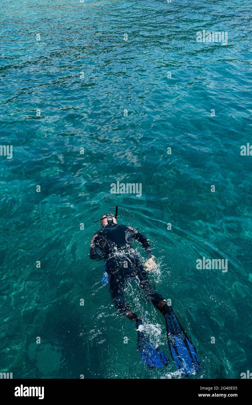 Der Taucher schwimmt im Meer, Draufsicht. Stockfoto