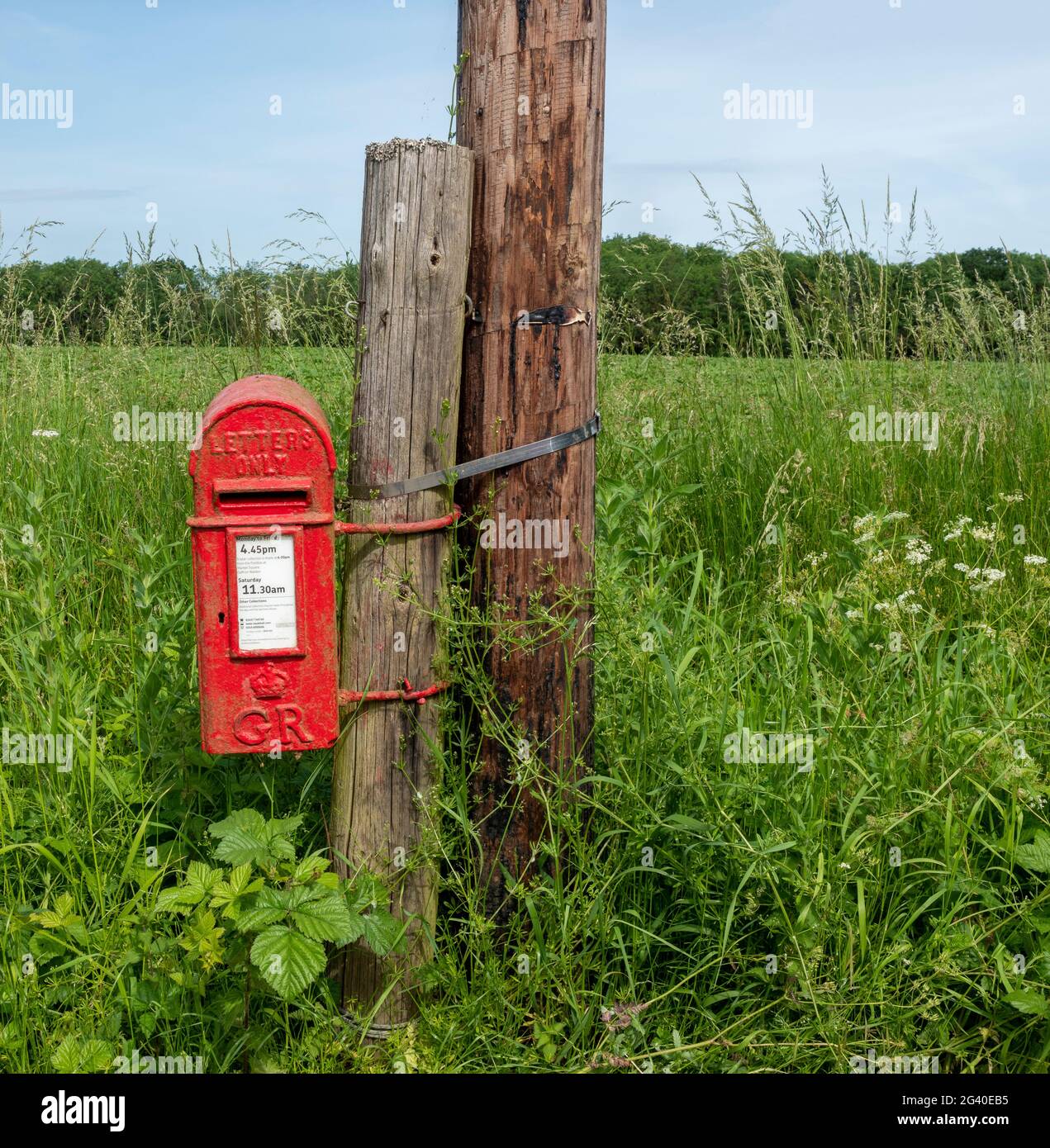 Roter Pfosten montiert George 5., nur Buchstaben, Briefkasten in einer ländlichen Umgebung mit einem Feld hinter Stockfoto