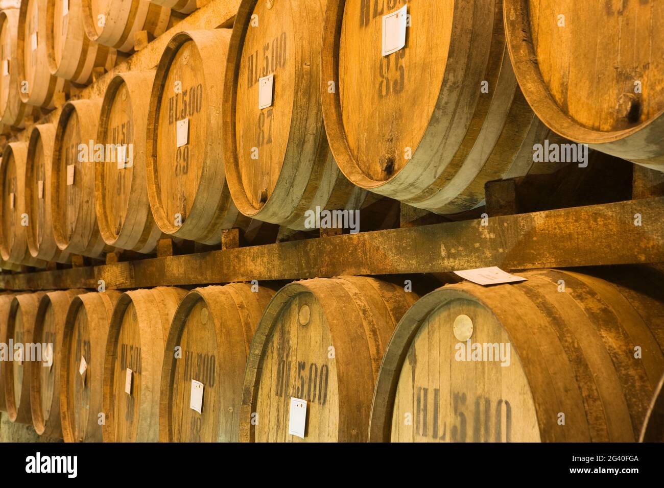 Weinfässer in einem Weinkeller, Montepulciano, Toskana, Italien Stockfoto