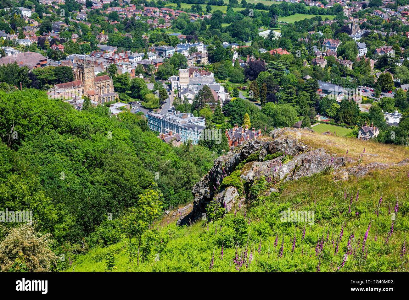 Auf den Malvern Hills wachsen Fuchshandschuhe mit Malvern Priory und Great Malvern im Hintergrund, Worcestershire, England Stockfoto