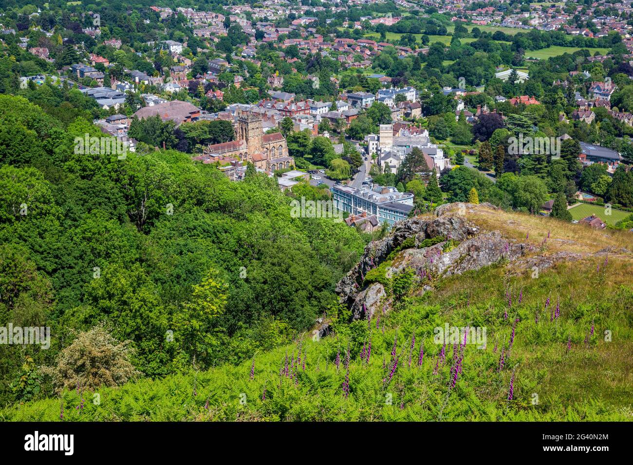 Auf den Malvern Hills wachsen Fuchshandschuhe mit Malvern Priory und Great Malvern im Hintergrund, Worcestershire, England Stockfoto