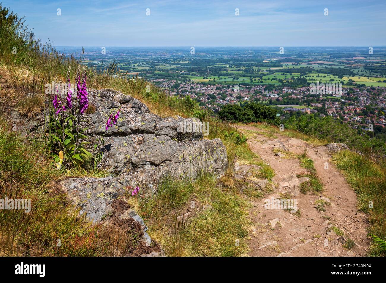 Fuchshandschuhe und Felsen entlang des Fußweges in den Malvern Hills mit Blick auf Great Malvern, Worcestershire, England Stockfoto