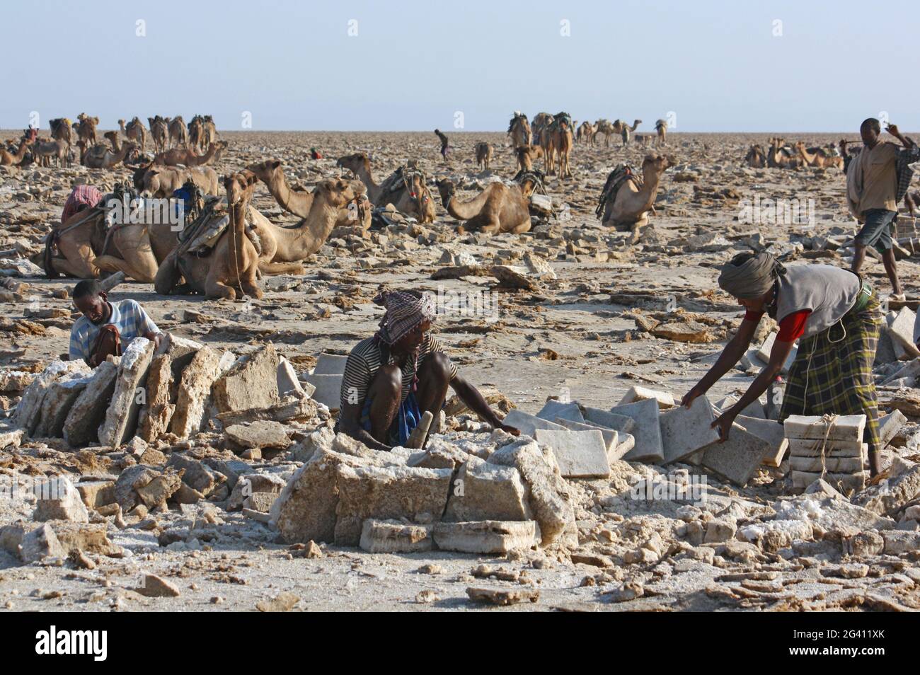 Äthiopien; Afar-Region; Danakil-Wüste; Danakil-Depression; Arbeiter auf den Salzpfannen; Lösen und Verarbeitung der Salzplatten in mühsamer Handarbeit Stockfoto