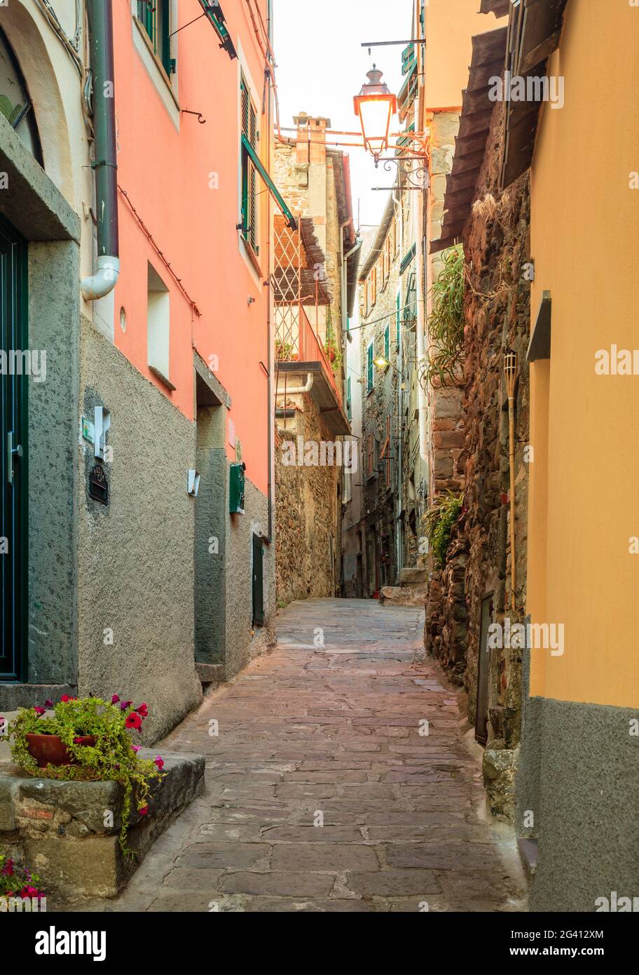 Schmale Wohnstraße im Dorf Corniglia, Cinque Terre, Italien Stockfoto