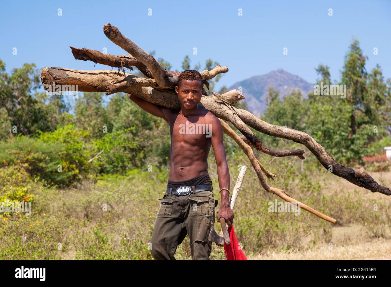 Madagaskar trägt Brennholz, in der Nähe von Tulear, Madagaskar, Afrika Stockfoto