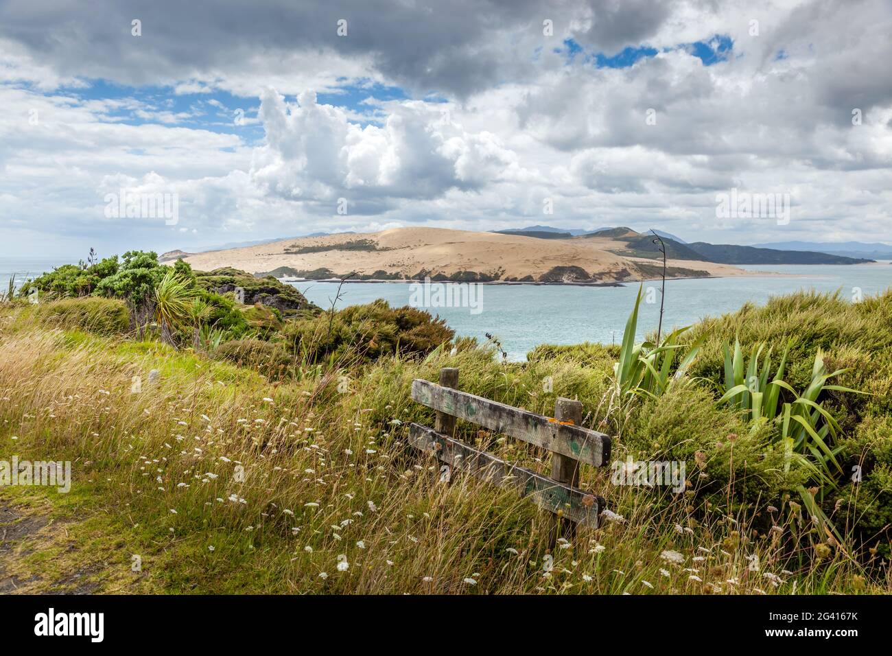 Spaziergang entlang der Küste in der Nähe von Arai-Te-Uru Erholung Reserve in Omapere in Neuseeland Stockfoto