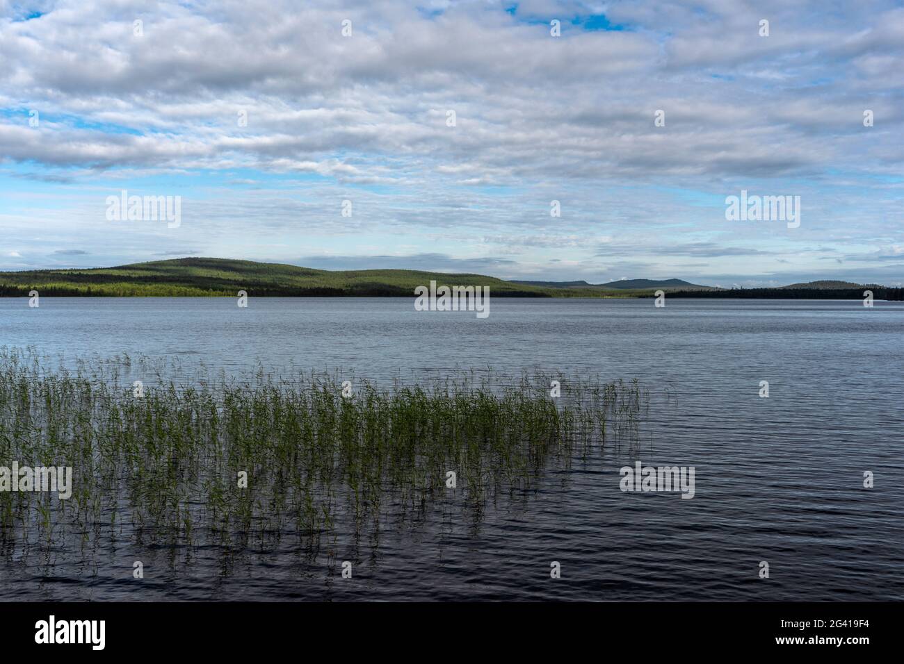 Blick über den See Fatjassjön, Boden, Norrbottens Iän, Schweden Stockfoto