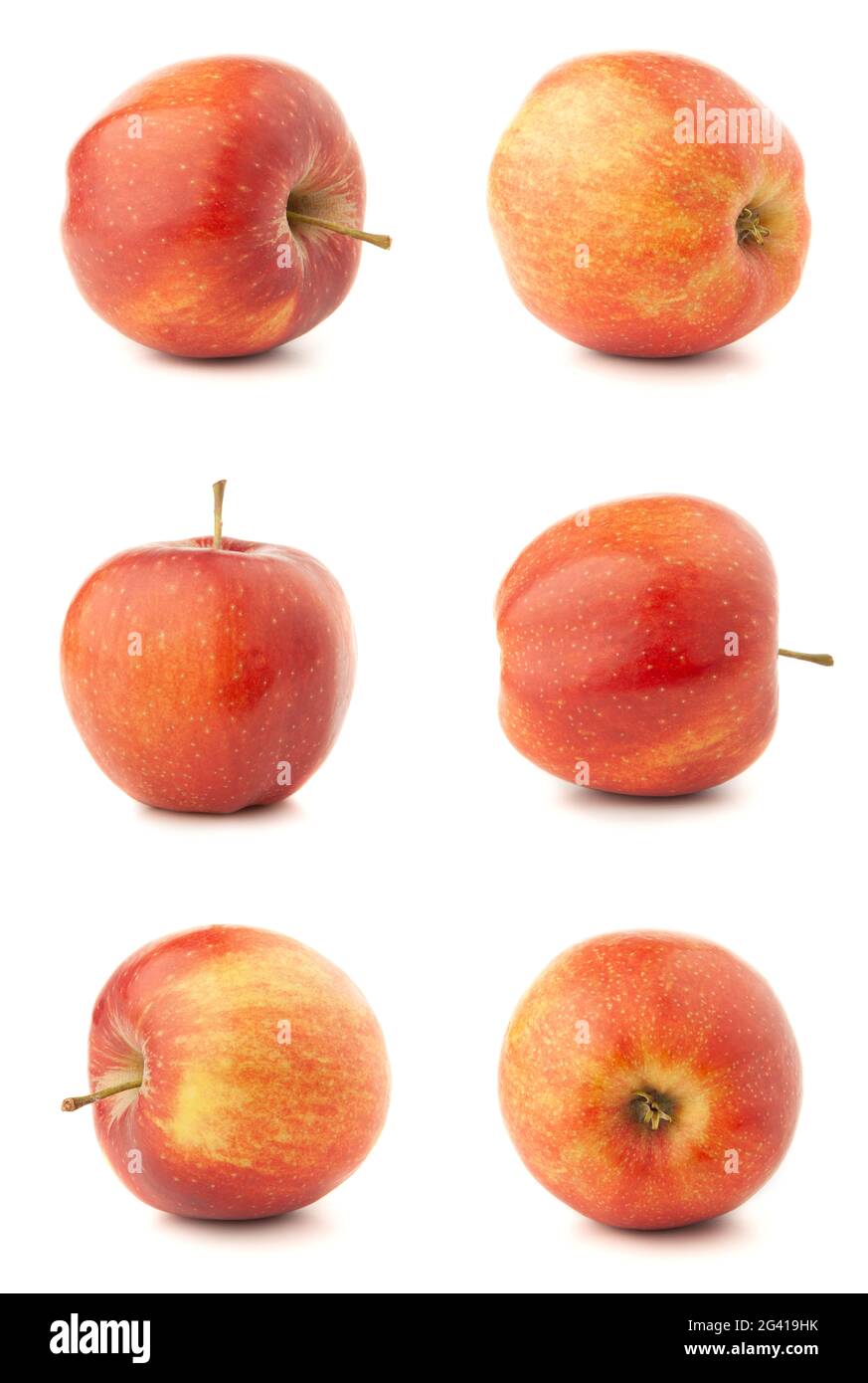 Mehrere Fotos von einem roten Apfel als Set auf Ein Weiß Stockfoto